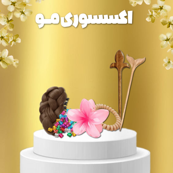انواع اکسسوری مو پرومیس